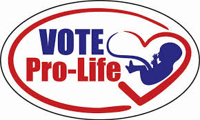 2026 Candidate Pro-Life Questionnaire Responses